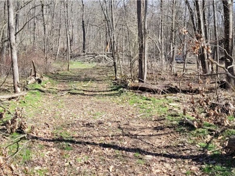 21776 State Route 79, Warsaw, OH 43844 Photo 41