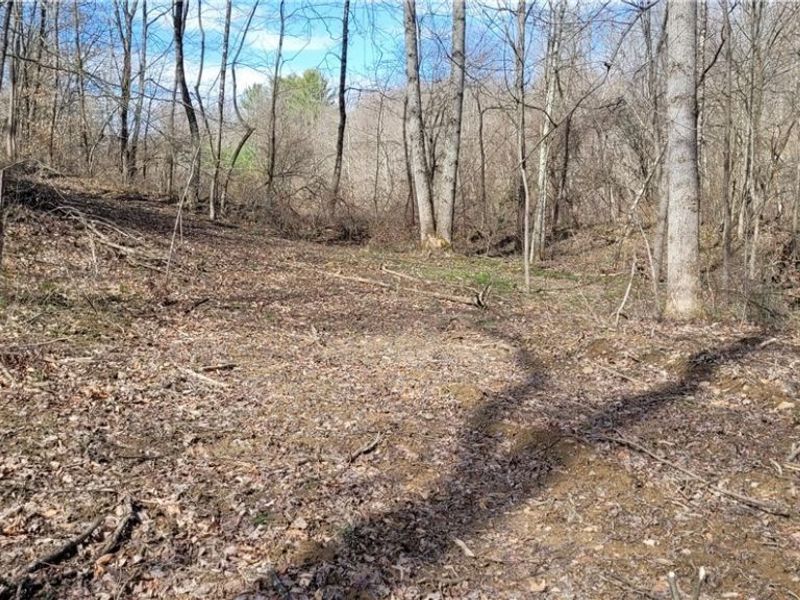 21776 State Route 79, Warsaw, OH 43844 Photo 42