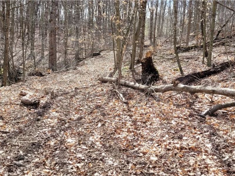 21776 State Route 79, Warsaw, OH 43844 Photo 44