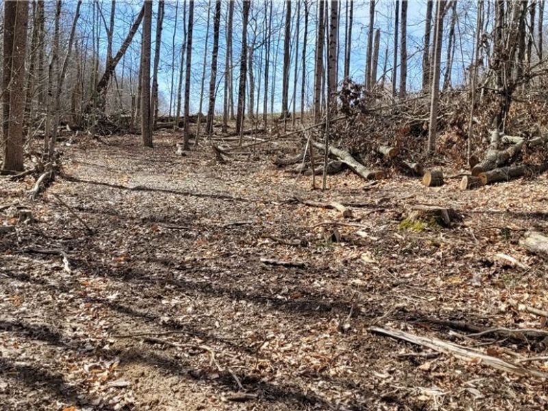 21776 State Route 79, Warsaw, OH 43844 Photo 45