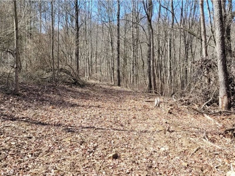 21776 State Route 79, Warsaw, OH 43844 Photo 46