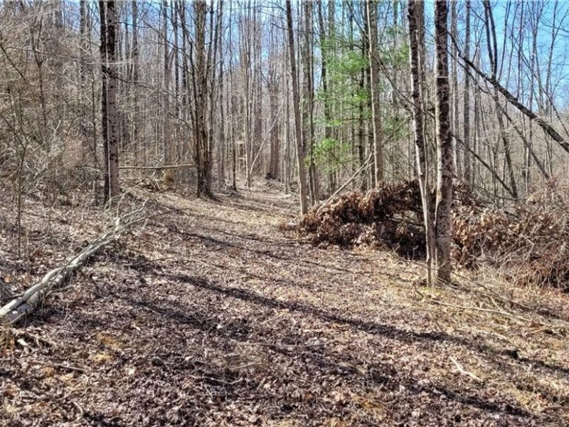 21776 State Route 79, Warsaw, OH 43844 Photo 47