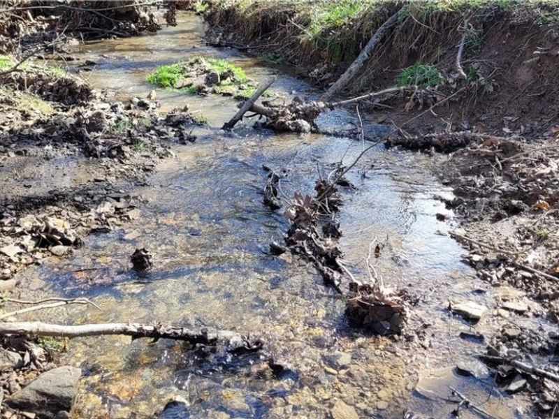 21776 State Route 79, Warsaw, OH 43844 Photo 6