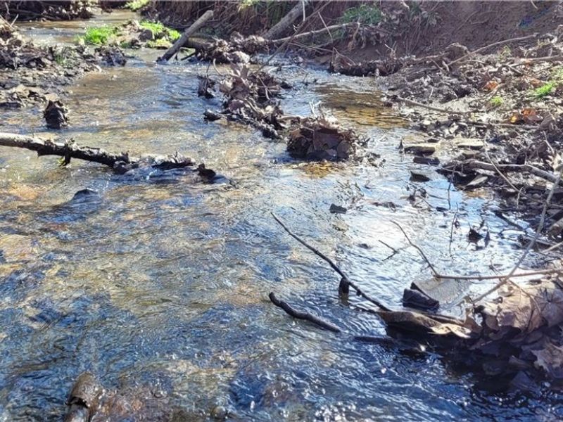 21776 State Route 79, Warsaw, OH 43844 Photo 7