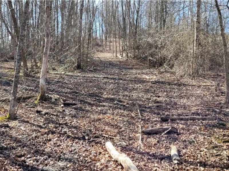 21776 State Route 79, Warsaw, OH 43844 Photo 8