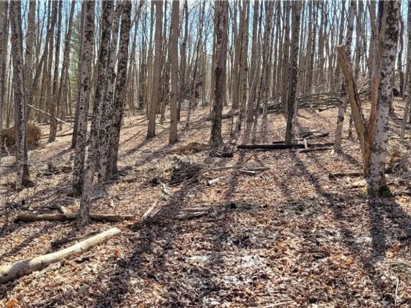 21776 State Route 79, Warsaw, OH 43844 Photo 9