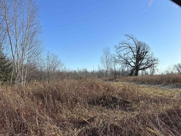 20 Acres on CLOVERLAND, Conrath, WI 54731