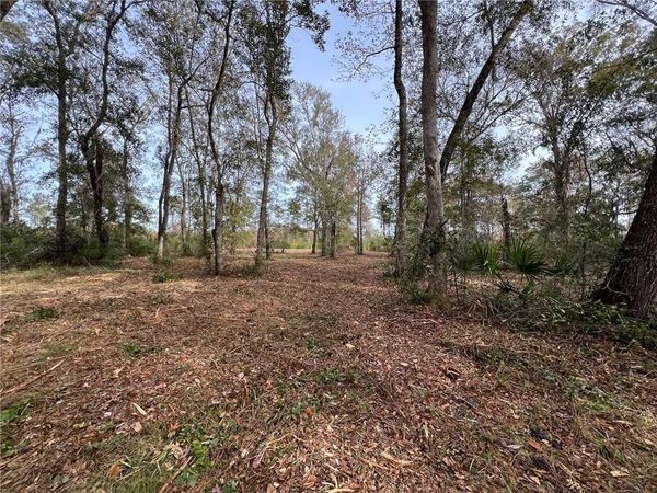 597 Salt Creek Way E, Brunswick, GA 31523