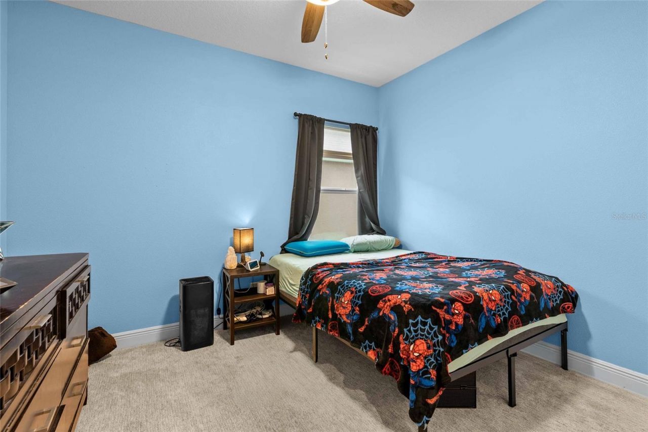 7430 71st Avenue N, Pinellas Park, FL 33781 Photo