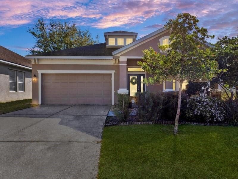 13305 Tiger Lilly Lane, Tampa, FL 33625 Main Photo