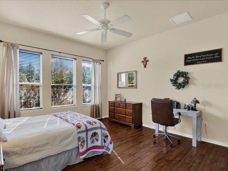 13305 Tiger Lilly Lane, Tampa, FL 33625 Photo