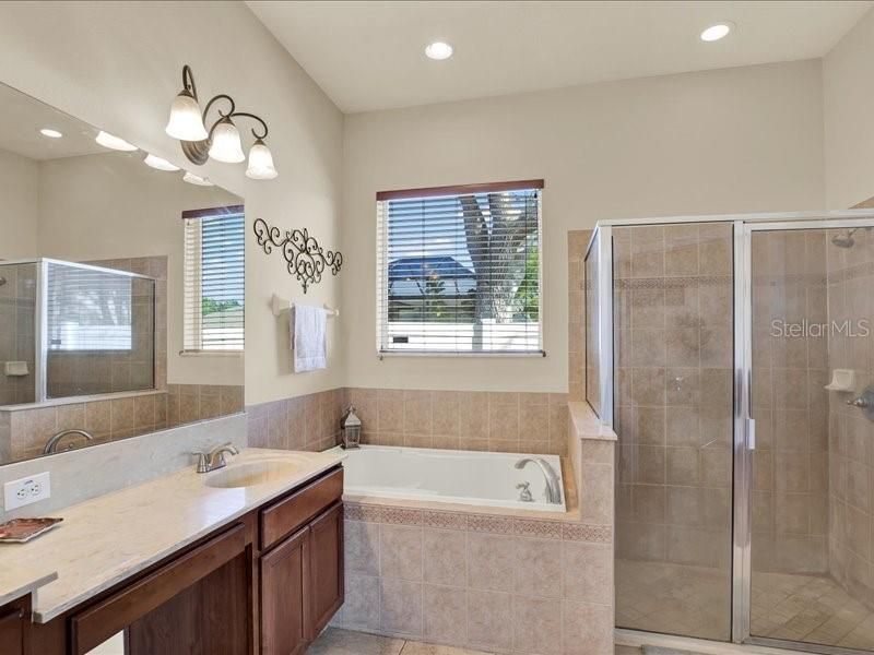 13305 Tiger Lilly Lane, Tampa, FL 33625 Photo