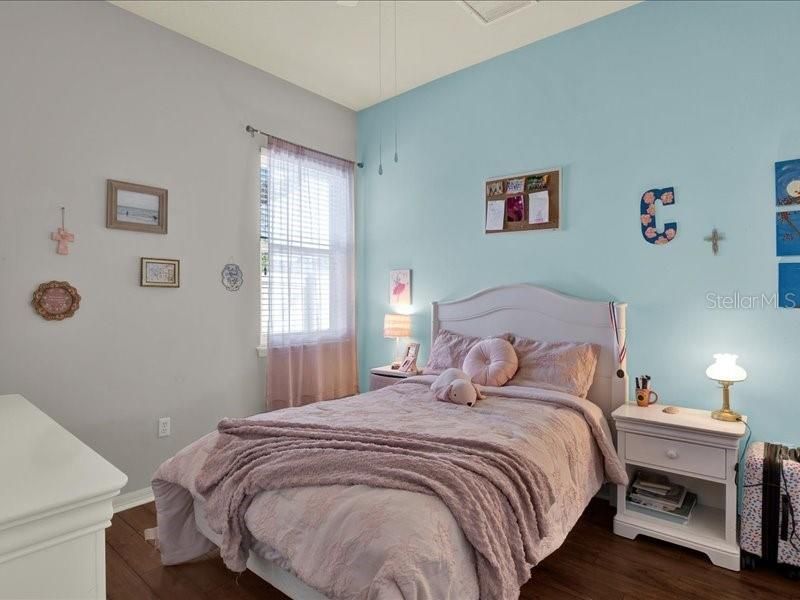 13305 Tiger Lilly Lane, Tampa, FL 33625 Photo
