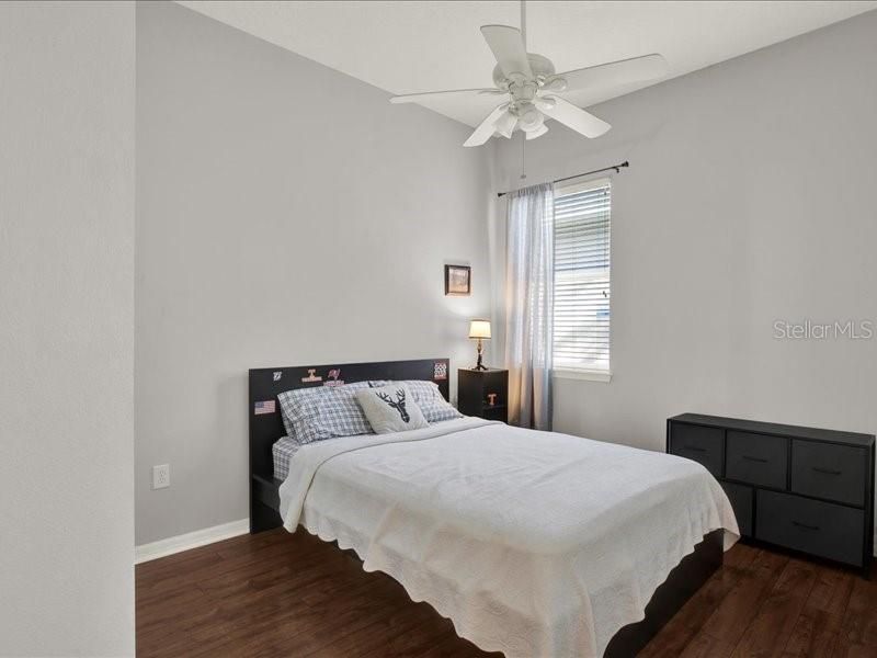 13305 Tiger Lilly Lane, Tampa, FL 33625 Photo