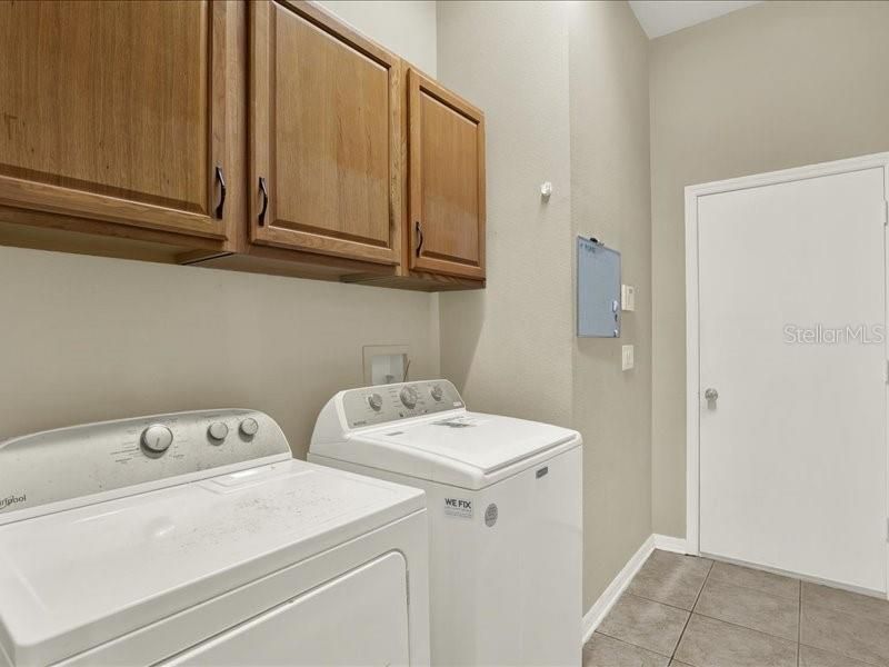 13305 Tiger Lilly Lane, Tampa, FL 33625 Photo