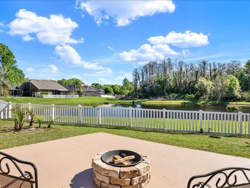 13305 Tiger Lilly Lane, Tampa, FL 33625 Photo