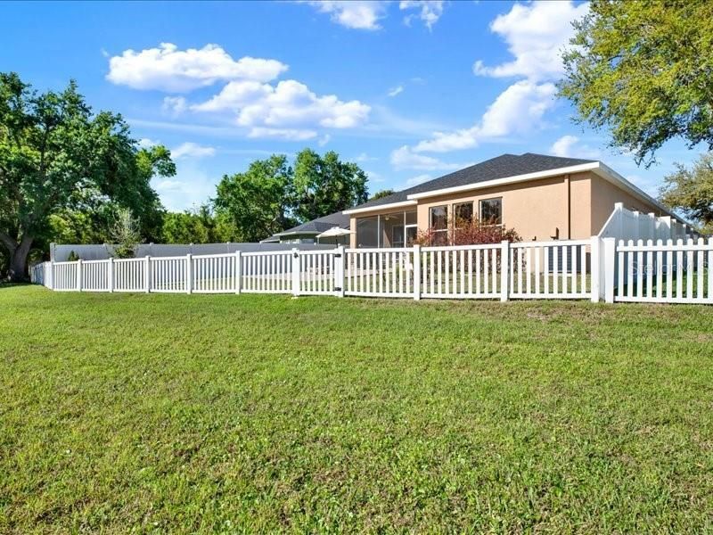 13305 Tiger Lilly Lane, Tampa, FL 33625 Photo
