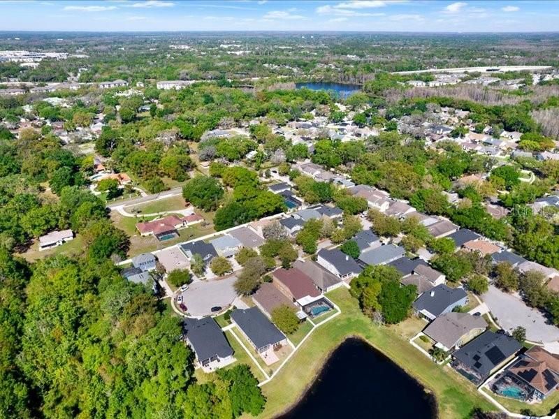 13305 Tiger Lilly Lane, Tampa, FL 33625 Photo