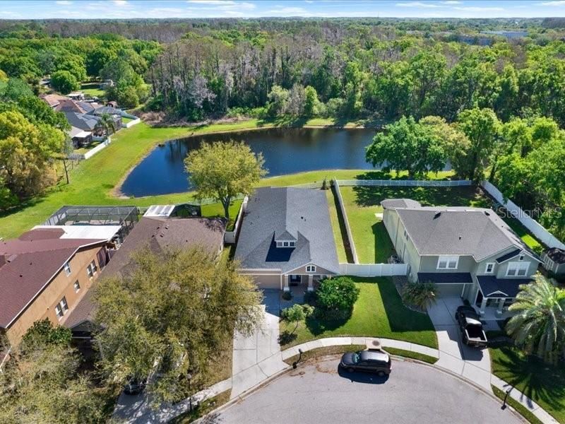 13305 Tiger Lilly Lane, Tampa, FL 33625 Photo