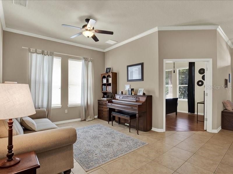 13305 Tiger Lilly Lane, Tampa, FL 33625 Photo