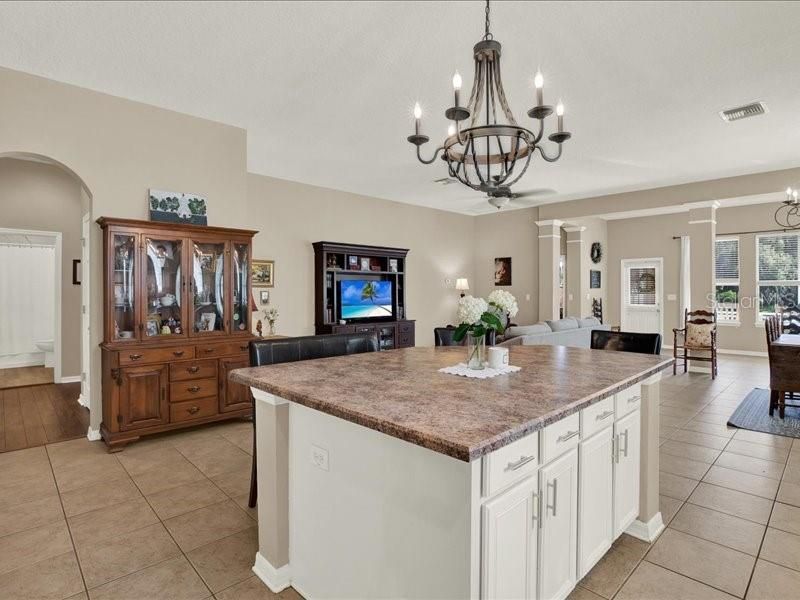 13305 Tiger Lilly Lane, Tampa, FL 33625 Photo