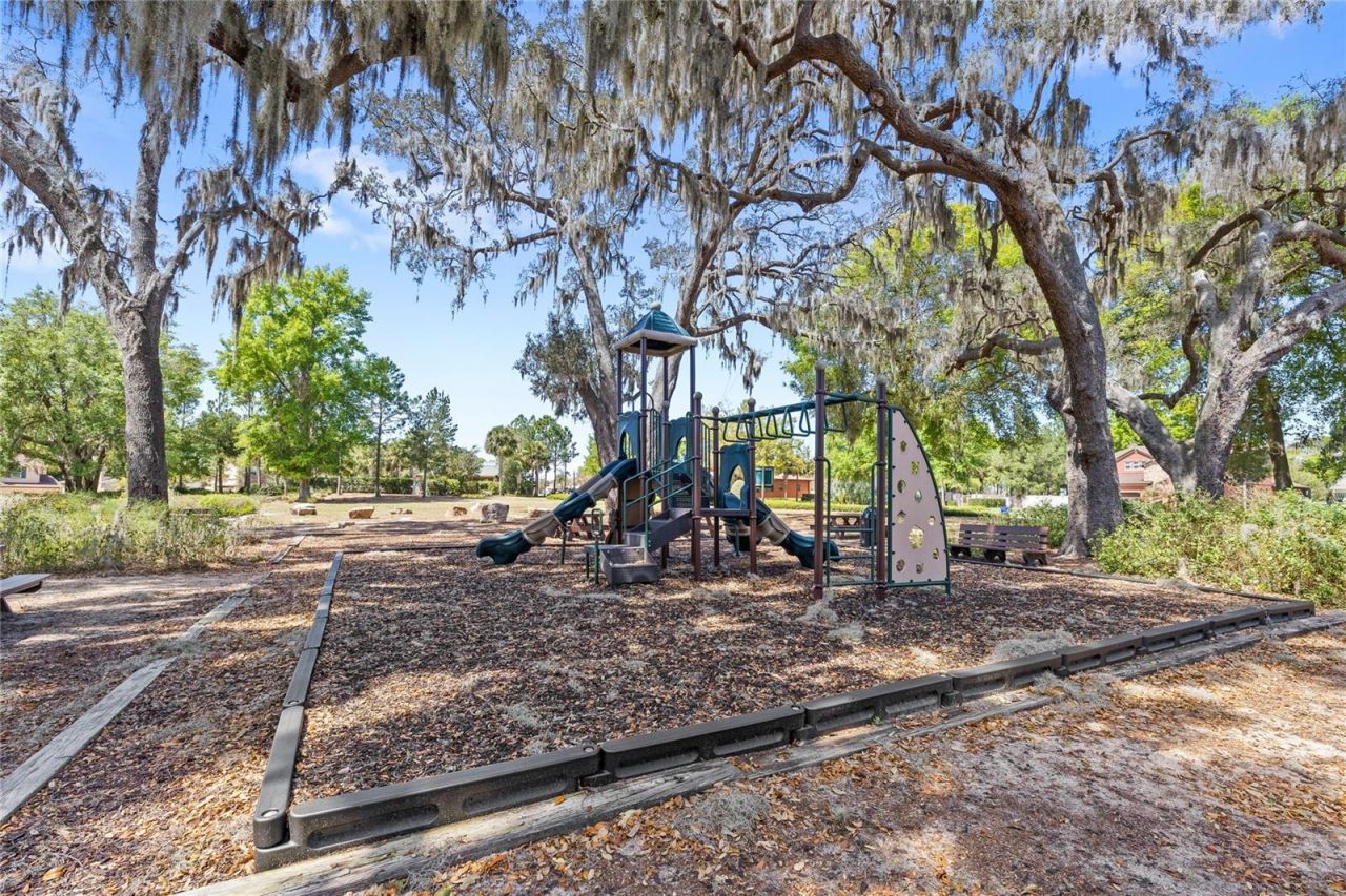 1234 Verde Pines Court, Ocoee, FL 34761 Photo