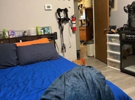 4380 Matich Drive, Reno, NV 89502 Photo