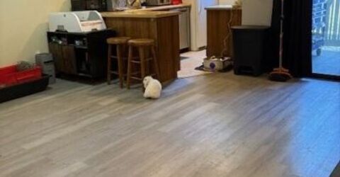 4380 Matich Drive, Reno, NV 89502 Photo