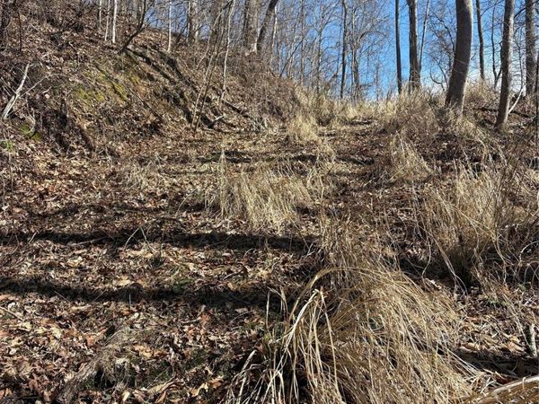 344 Running Deer Lane, Mars Hill, NC 28754