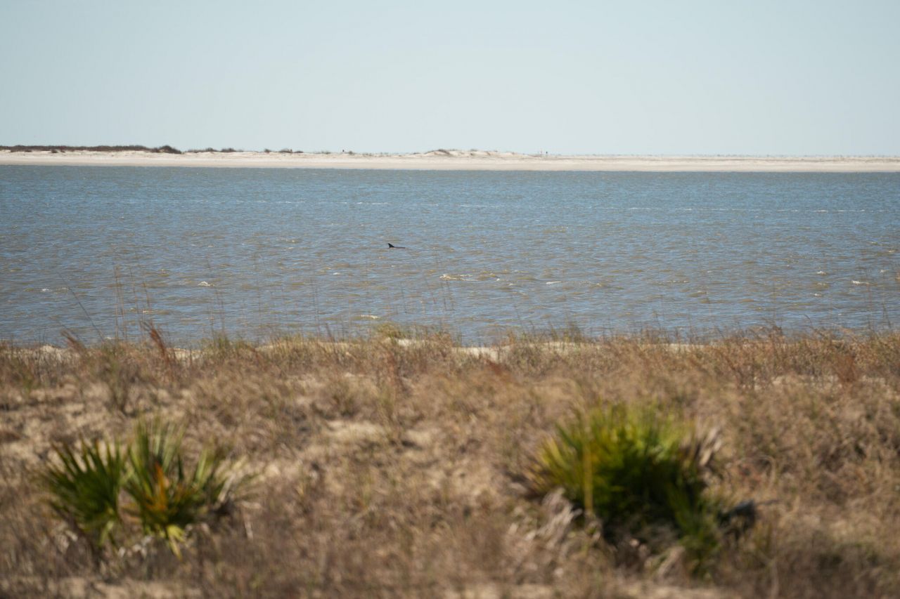 1331 Pelican Watch Villas Photo 34