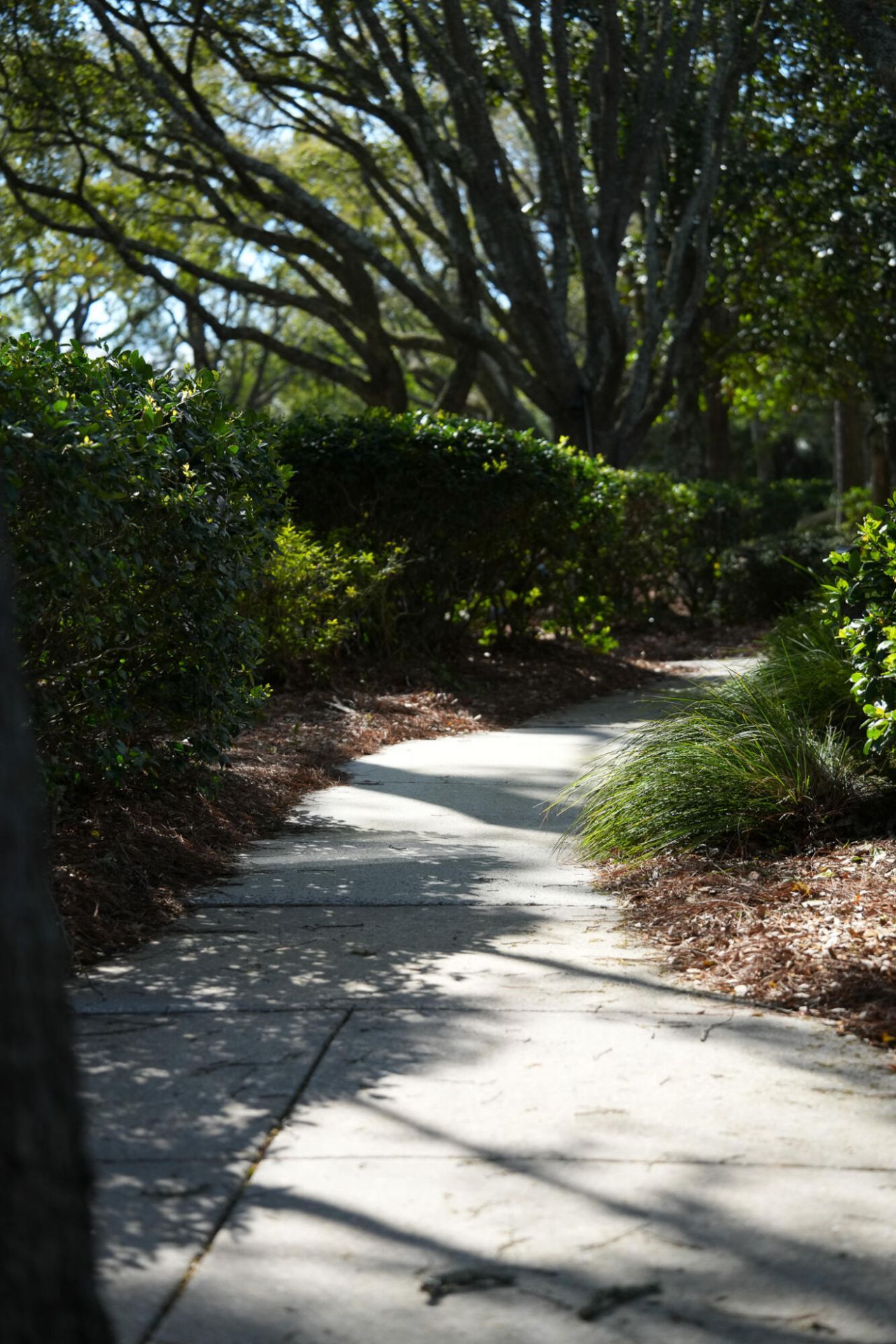 1331 Pelican Watch Villas Photo 90