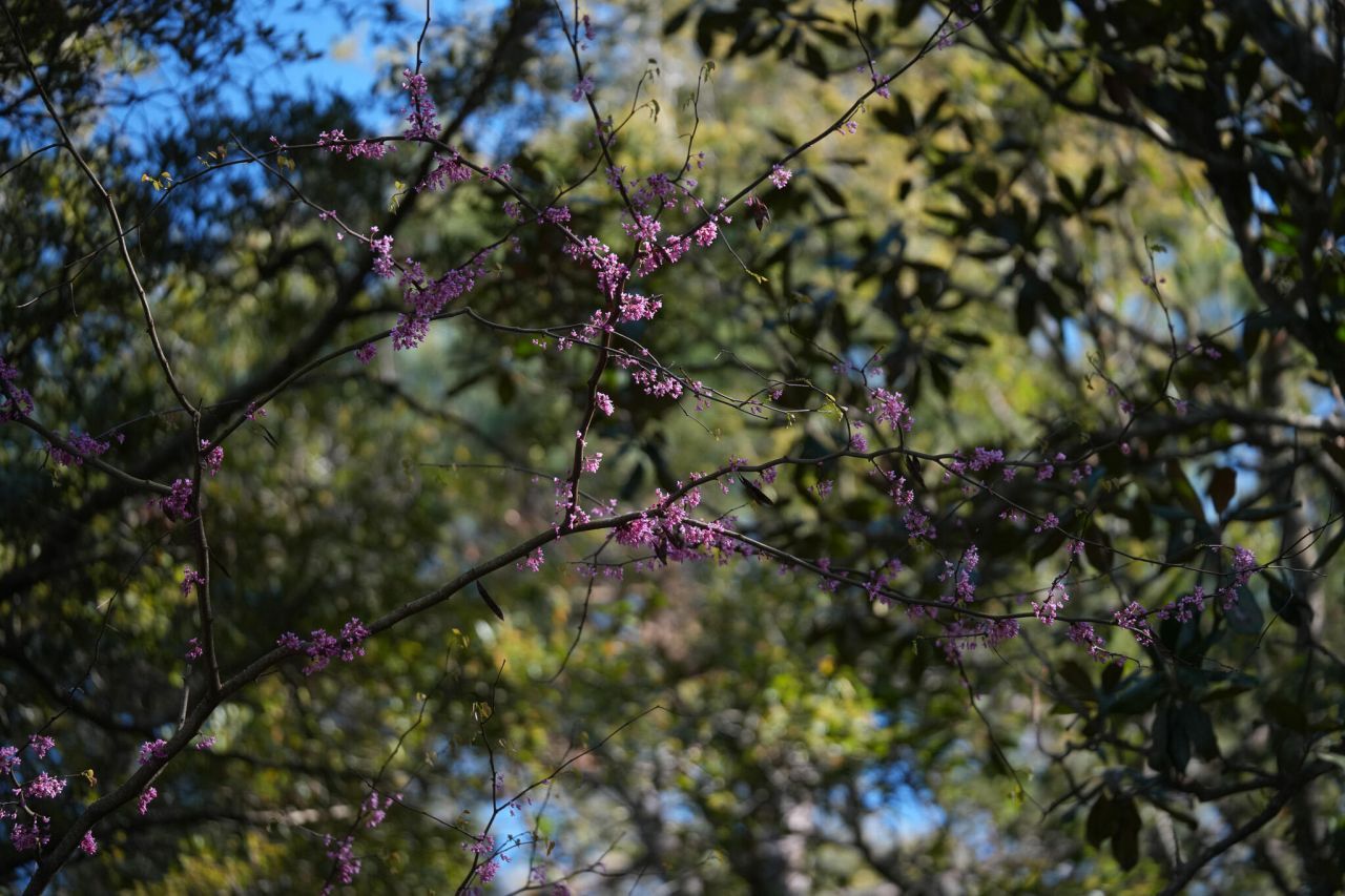 1331 Pelican Watch Villas Photo 91