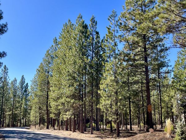 14165 Whitewater Loop, La Pine, OR 97739