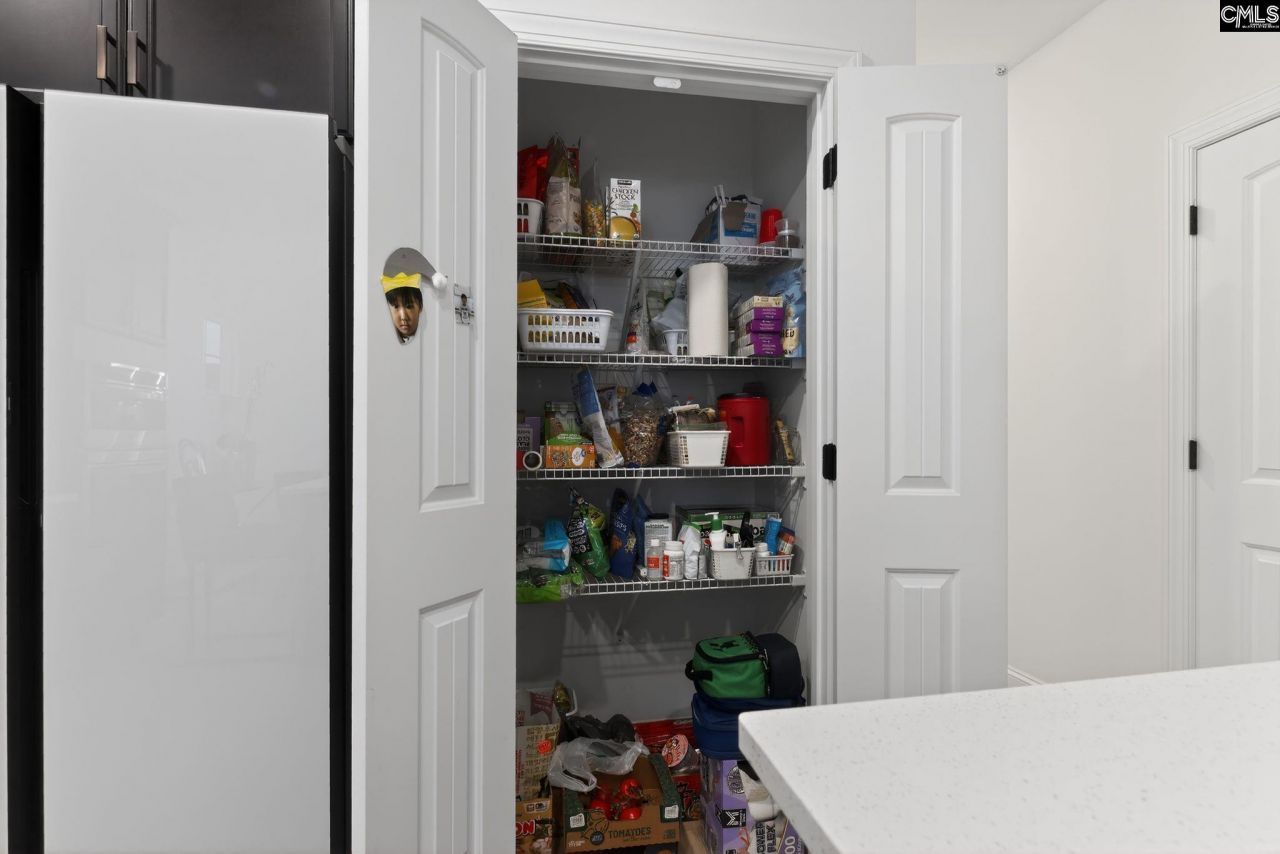 536 Outer Banks Drive Photo 37