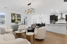 536 Outer Banks Drive photo 4