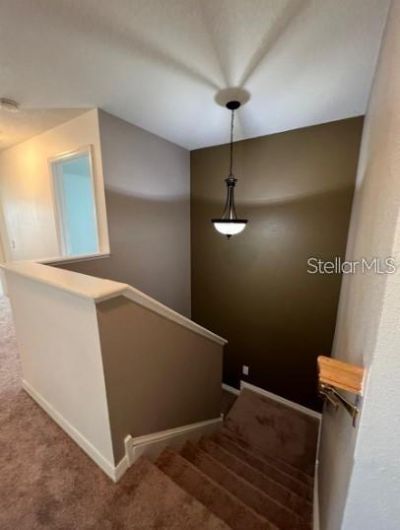 10216 Dolce Vista Drive Ne, Saint Petersburg, FL 33702 Photo