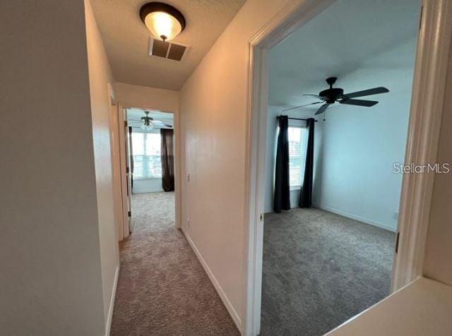 10216 Dolce Vista Drive Ne, Saint Petersburg, FL 33702 Photo