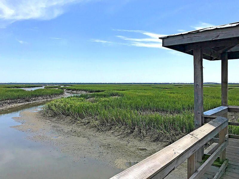 1420 Longspur Drive Photo 47