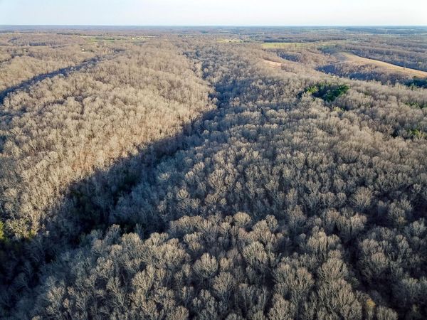 2552 State Highway V, Stella, MO 64867