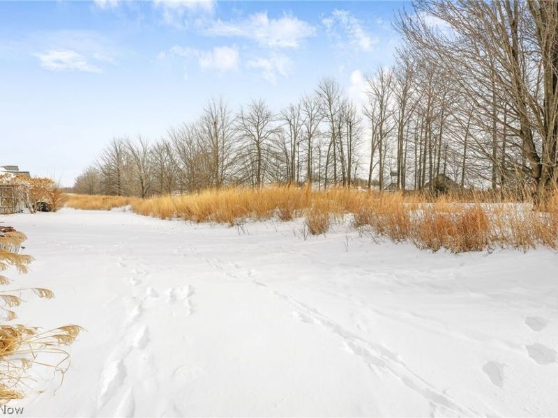 2195 Southampton Lane, Avon, OH 44011 Photo 34