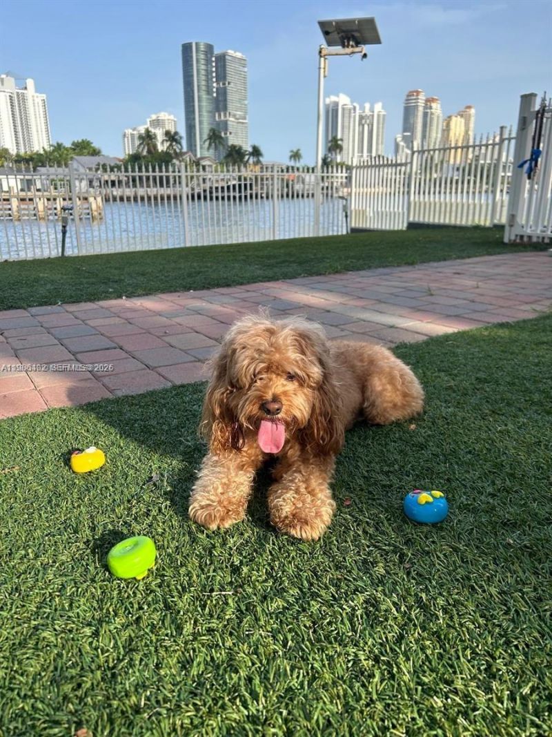 3600 Mystic Pointe Dr , Unit 310, Aventura, FL 33180 Photo