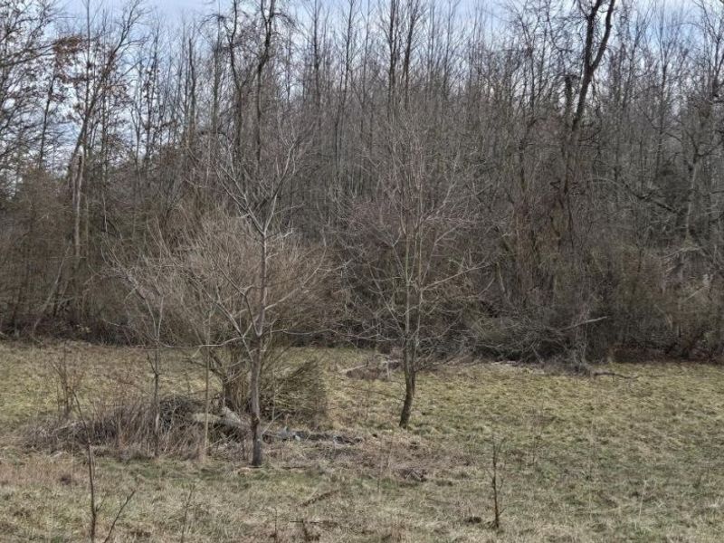 510 Cherry Street, Blanchester, OH 45107 Photo 4