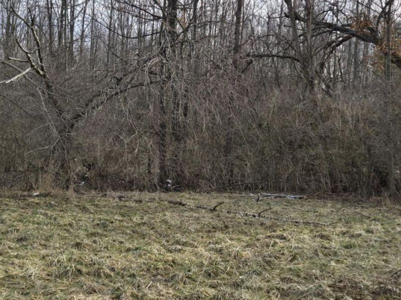 510 Cherry Street, Blanchester, OH 45107 Photo 6