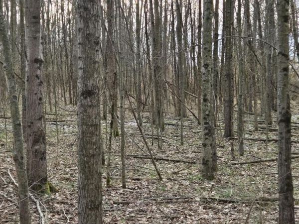 508 Cherry Street, Blanchester, OH 45107