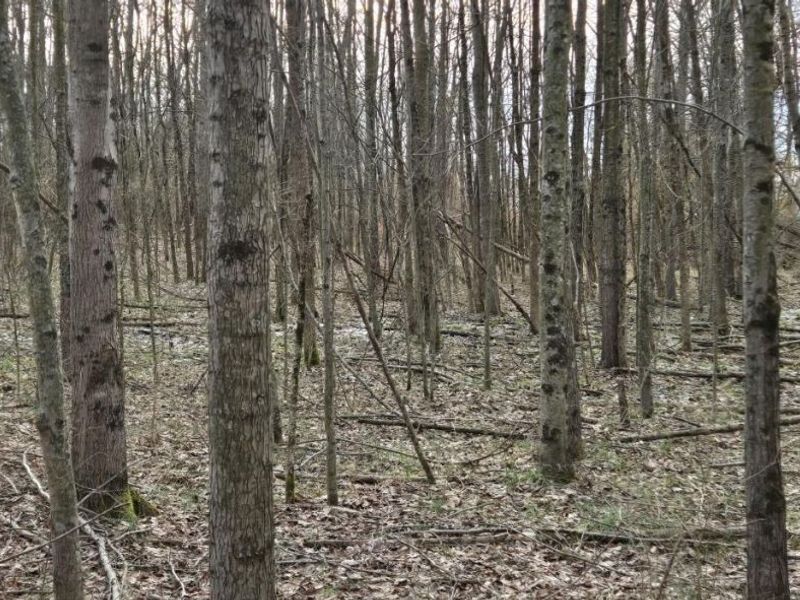 508 Cherry Street, Blanchester, OH 45107 Photo 1