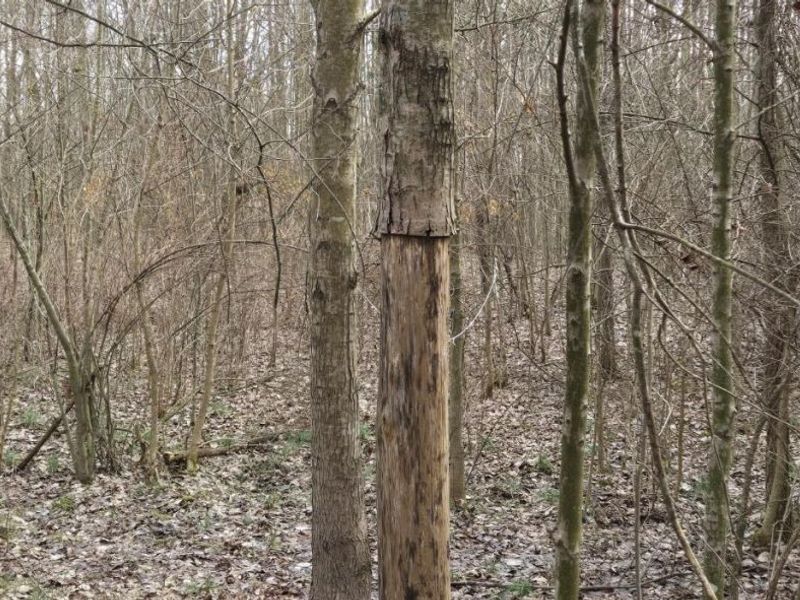 508 Cherry Street, Blanchester, OH 45107 Photo 3