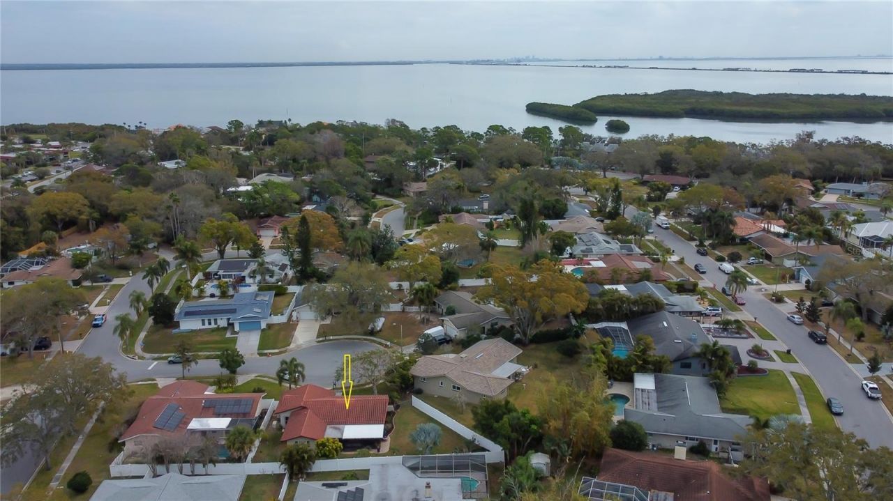 1204 San Domingo Court, Clearwater, FL 33759 Photo