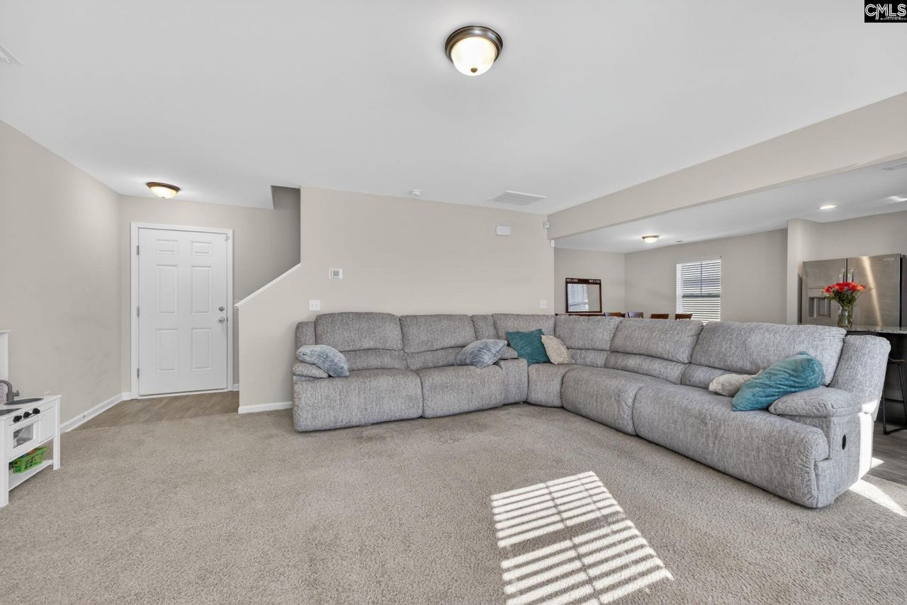 209 Carriagebrook Circle  Photo 18