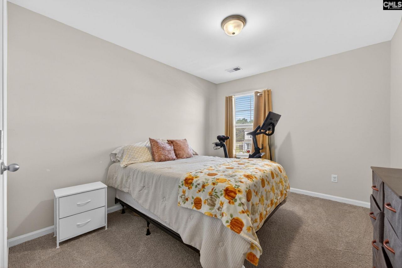 209 Carriagebrook Circle  Photo 28