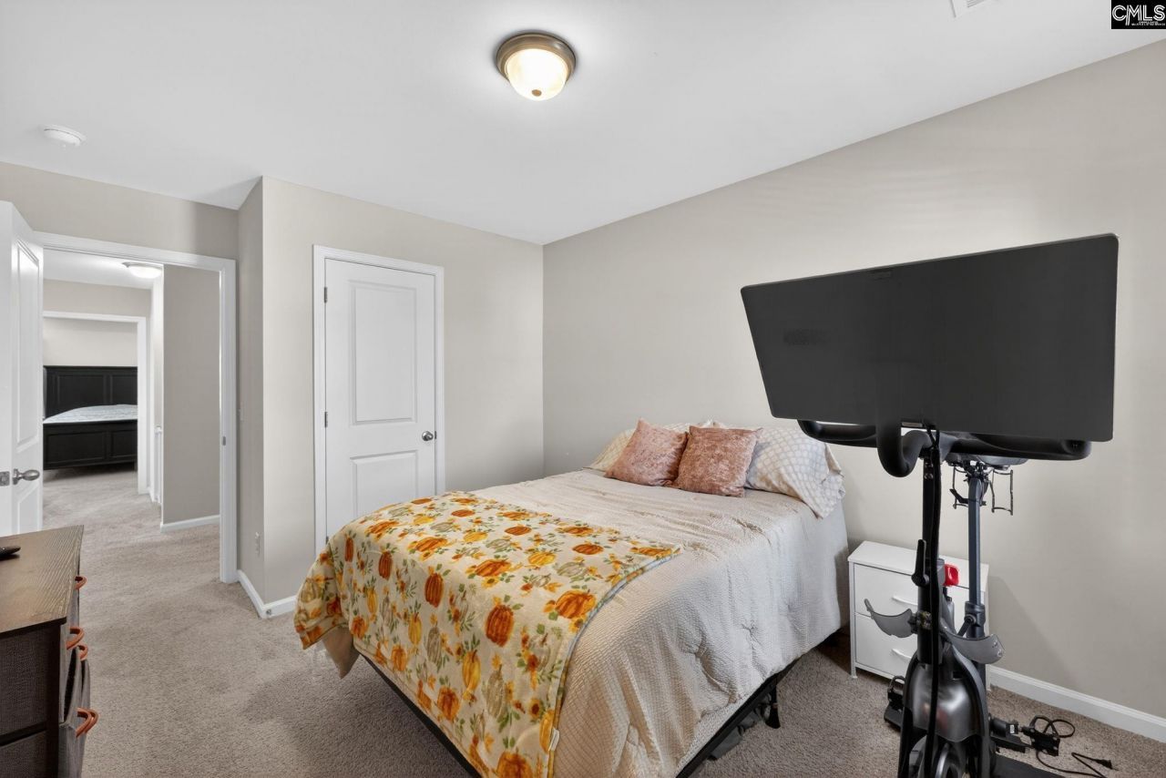 209 Carriagebrook Circle  Photo 29